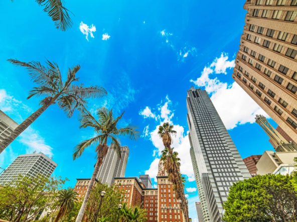 Navigating the Los Angeles Commercial Real Estate Market: Tips for Success